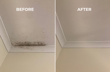 Bathroom Ceiling Mould Removal: How to Remove It and Stop It Coming Back
